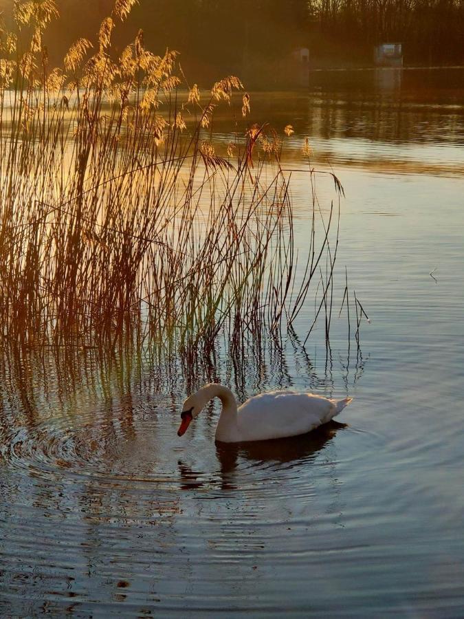 Tramonto Al Lago Apartment Gavirate Luaran gambar